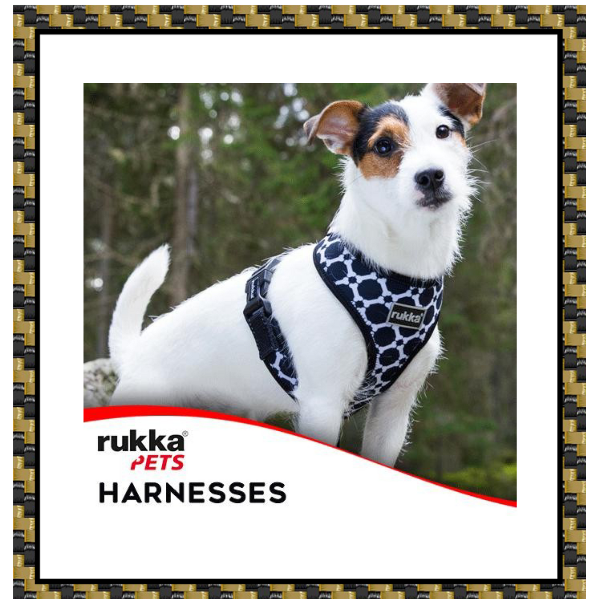 Rukka Pets Harnesses