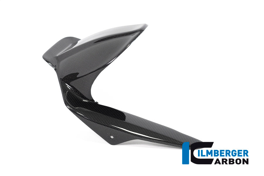 Ilmberger Carbonparts - Ducati Scrambler 1100 Carbon Fibre