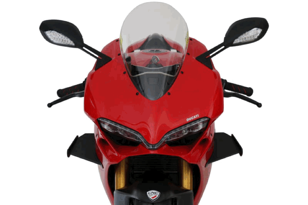 Panigale - Carbon Winglets